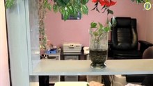 Cuarto Nivel Peluqueros | Salón de belleza San Juan