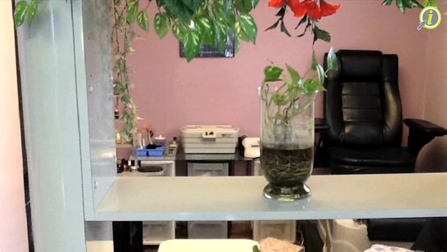 Cuarto Nivel Peluqueros | Salón de belleza San Juan