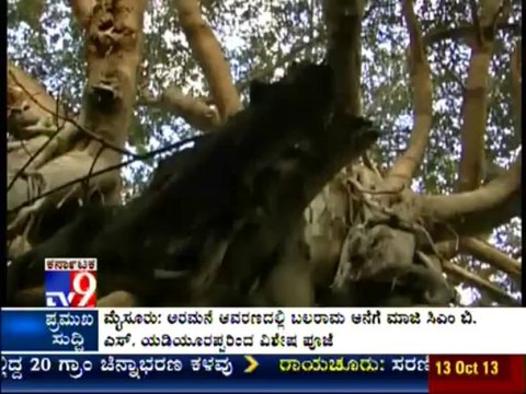 TV9 Heegu Unte: Paakathopu Sri Muneshwara Swamy, Bharathi Nagar, Bangalore - Full