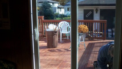 Reliable Window Replacement Service in Orland Park, IL