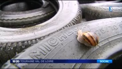 Les michelins solidaires et aidés par les riverains