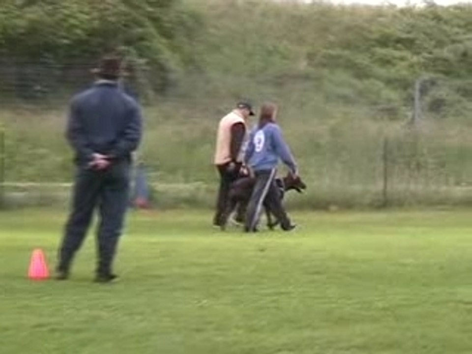 20060527 Bièvres brevet OB