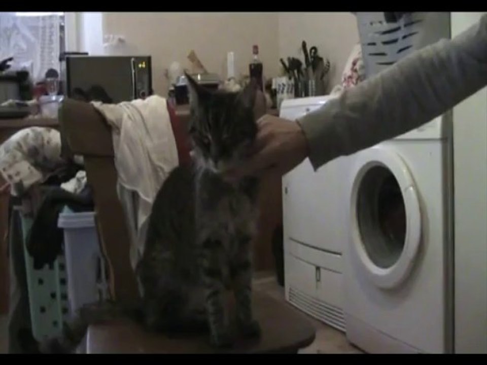 MamieCat et sa famille 29 09 13 (1)