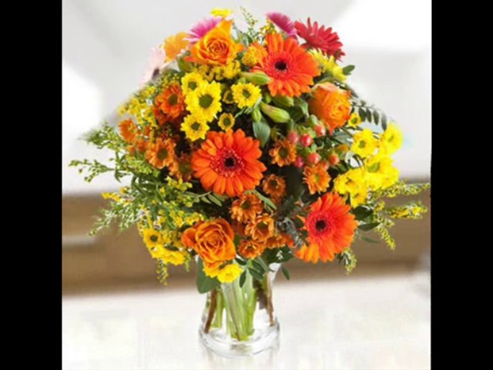 Floraqueen-Convalescence