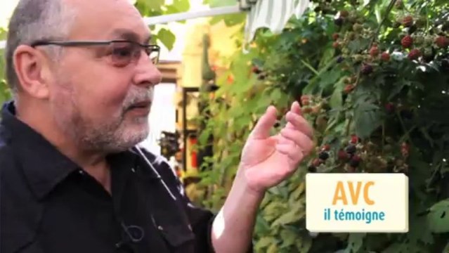 AVC : Flash Spécial Prévention