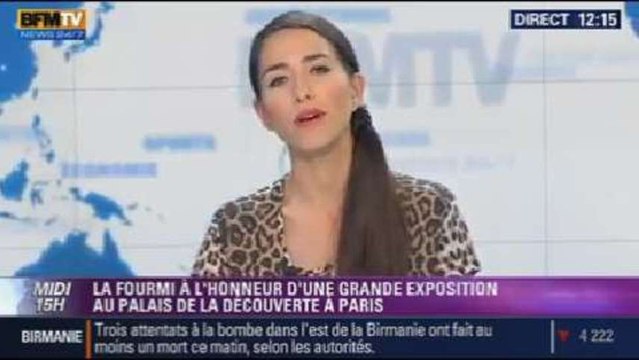 Culture & vous: la fourmi au Palais de la découverte à Paris - 17/10