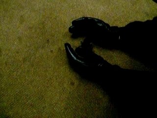 Rob VS Spider (Rob was bitten by Spider)