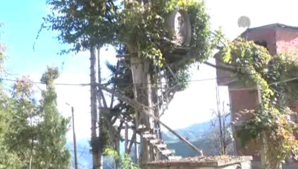 Ağaç dalına, 100 basamakla çıkılan çardak yaptı
