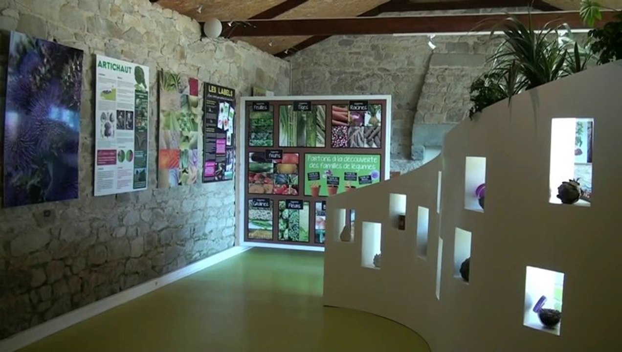Légumes Project. Une nouvelle façon de découvrir l'agriculture bretonne