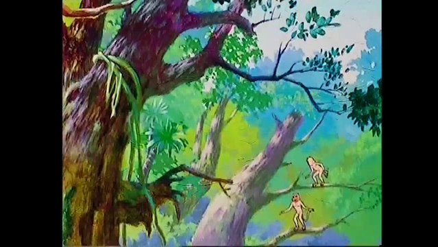 Król Lew - cz.4 - Bajki po polsku - cały odcinek - polski lektor