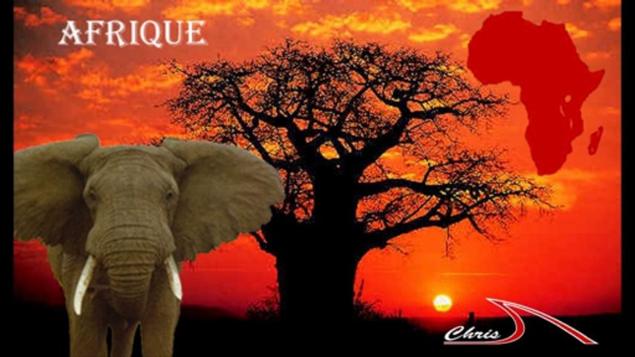 freedom animal 2