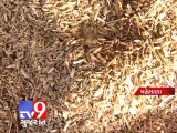 1250 kg adulterated fennel seized from Unjha factory, Mehsana - Tv9 Gujarat