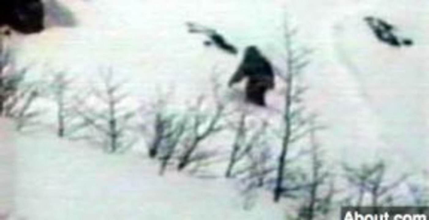British Geneticist Says He Has Proof of Yeti