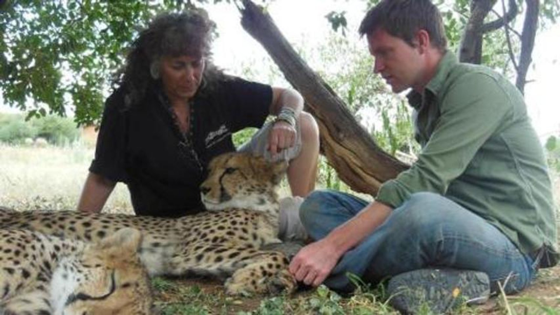 earthrise - Saving Namibia's Cheetahs