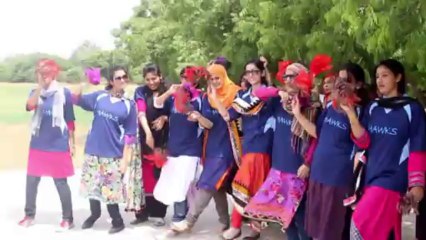 Lipdub 2013 (Batch 14) BIPS