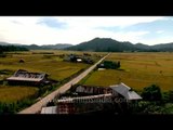 Top view of paddy fields around Hari Village: Ziro