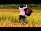 Wicker-baskets and women: Agriculture in Ziro