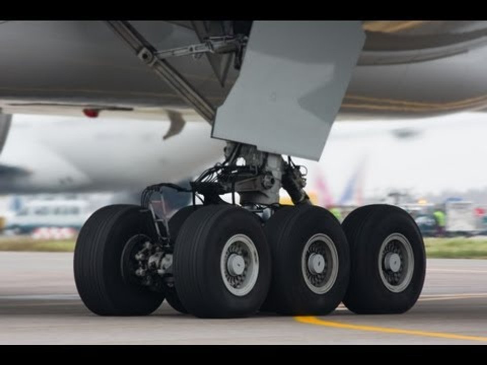 Stowaway death: 22-year-old man found dead after four days in plane's landing gear