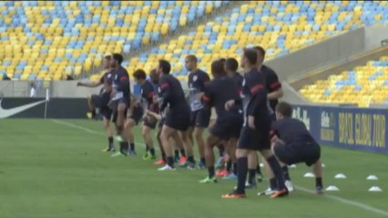 CdM 2014 - Hodgson : "Nous ne sommes pas favoris"