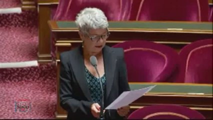 QTC de Dominique Gillot ( 10 octobre 2013)