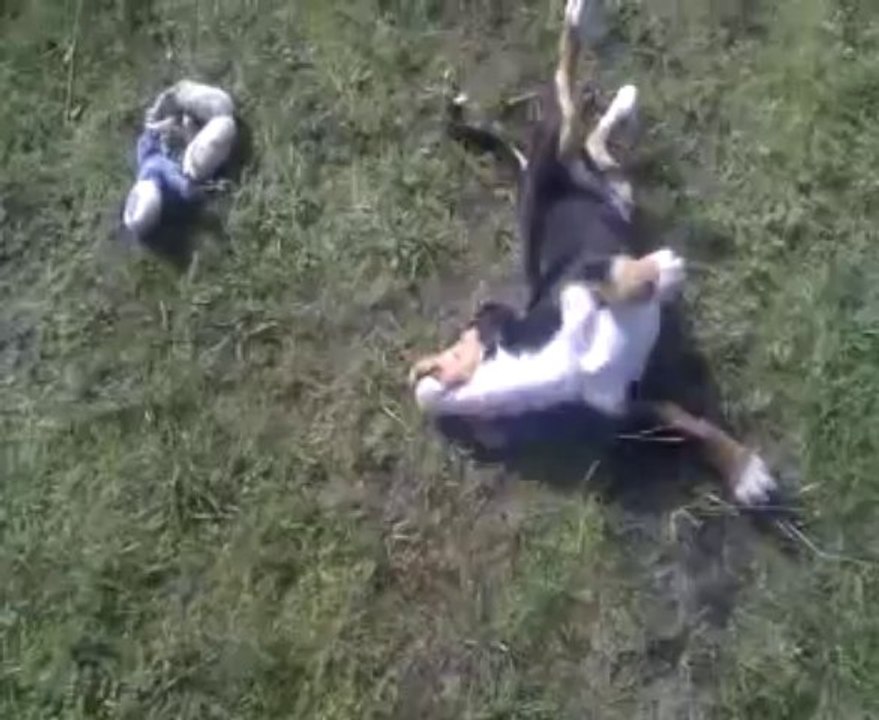 VIDEO0027