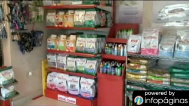 Paseos Veterinary Center | Veterinario San Juan