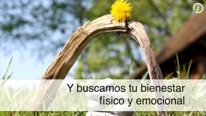 Dr. Angel L. Fraguada Reyes / Ob-Gyn Center Of P.R. | Ginecólogo Trujillo Alto