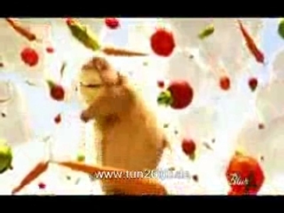 gopher_broke[1]