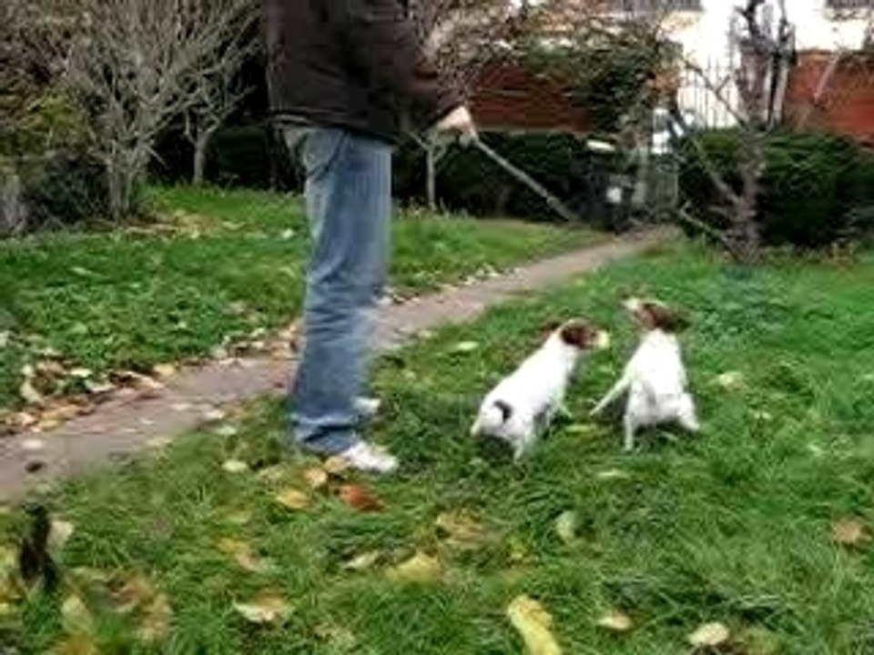 Vcky et bonnie