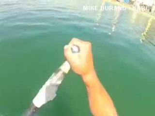 "Me gusta vivir al borde, cuando vi el tiburón no pensé que se interesaría en mí"