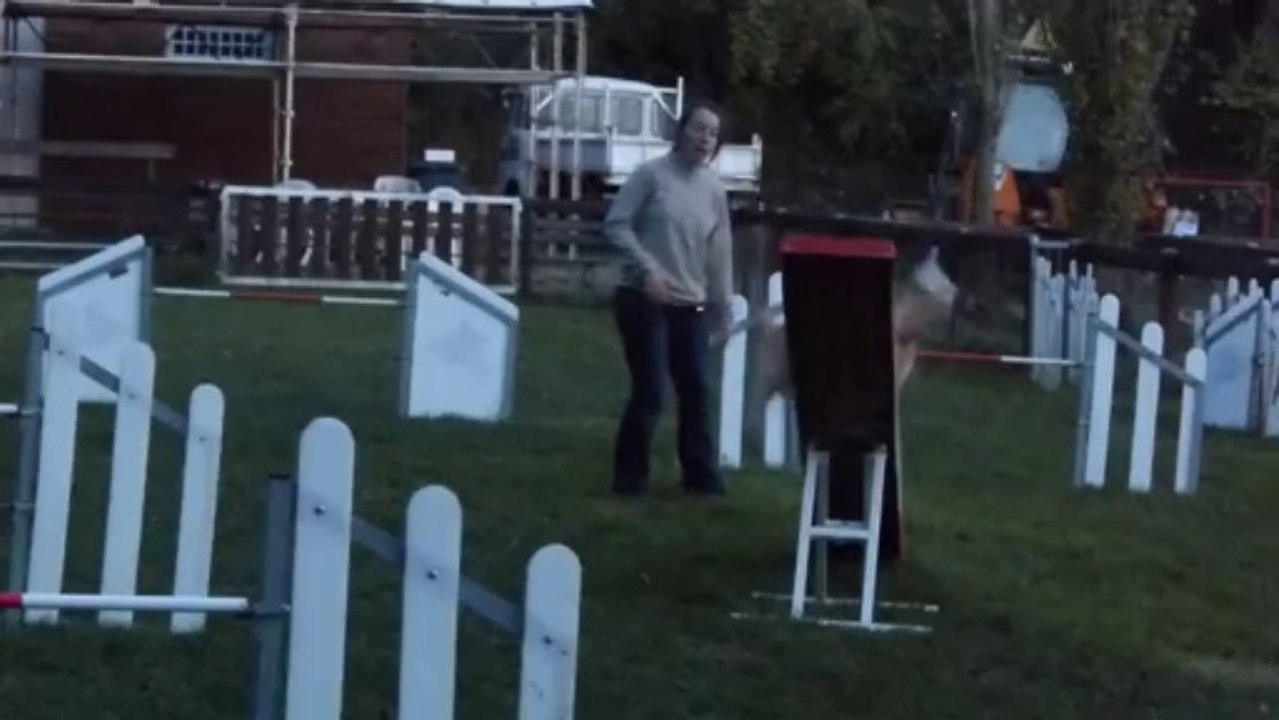 Baïla et Mathilde - Agility1