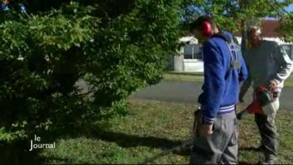 Décrochage scolaire : des écoles de production en Vendée