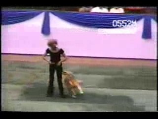 danse chien grease