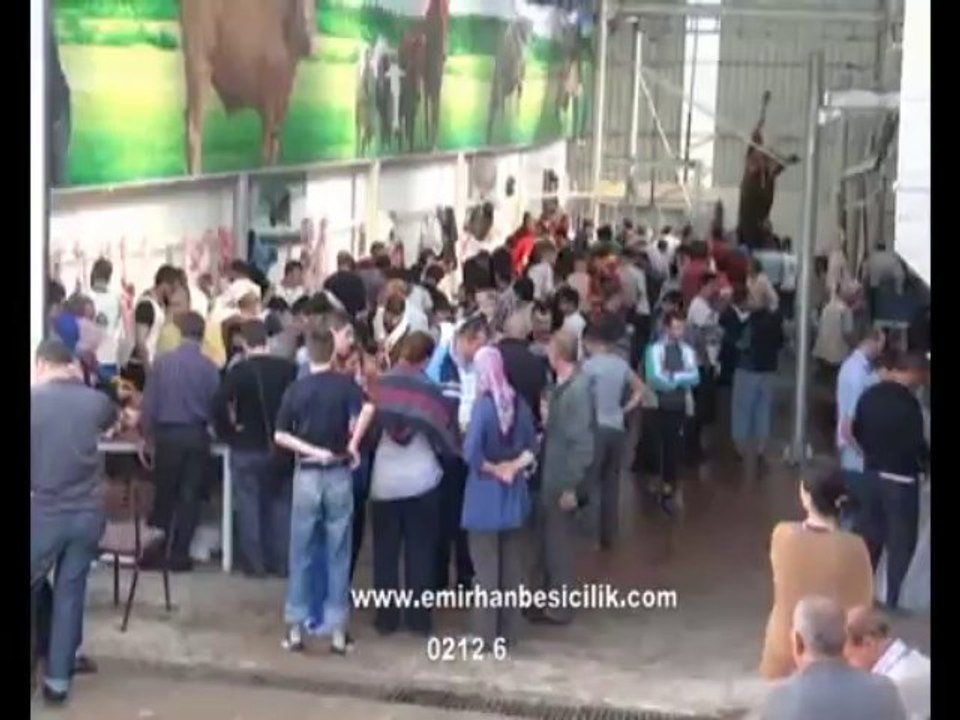 Emirhan besicilik 2013