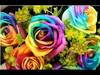 DEUTERONOMIO CAP 1 - A BIBLIA NA LINGUAGEM DE HOJE