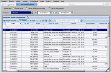 Bureau comptable-consultation des écritures ciel compta libérale.