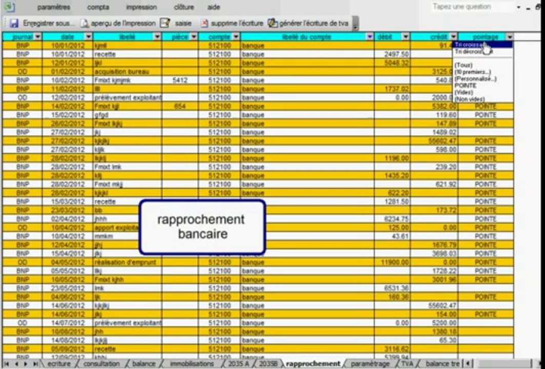 cabinet comptable -  démonstration comptabilité libérale