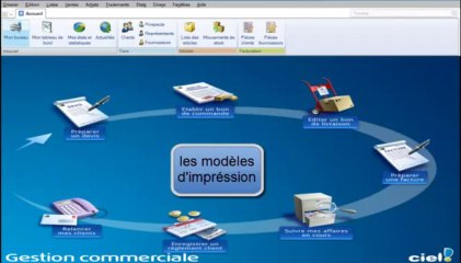 Comptable fiscaliste - ciel gestion commerciale.