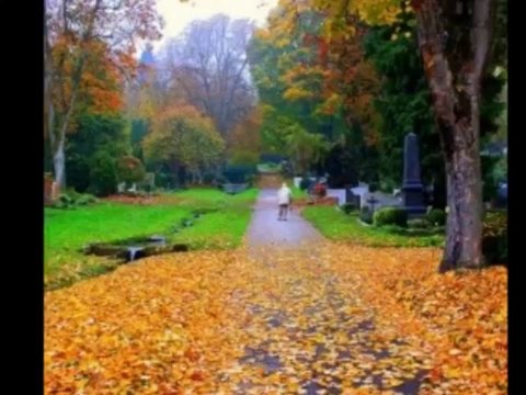 Yıldırım Gürses - Sonbahar rüzgarları...Düşen bir yaprak görürsen