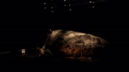 Les Balançoires , Trilogie de l'intime / chapitre DEUX