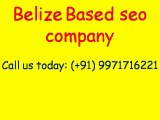 Affordable SEO Services Belize Video - Guaranteed Page 1 Rankings|Call:( 91)-9971716221