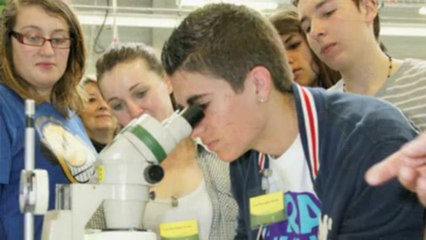 Pierre Gattaz : Radiall et les classes en entreprise