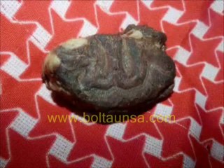 قدرت کا کرشمہ دیکھئے۔ گوشت کے ٹکڑے پر اللہ دکھائی دینے لگا