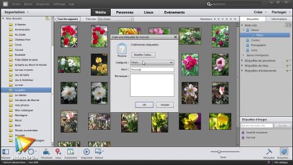 Les fondamentaux de Photoshop Elements 12 : L’Organiseur - trailer | video2brain.com