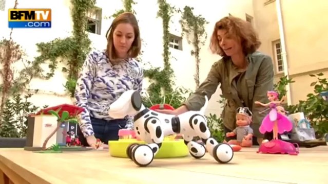 Zapping de 13h de BFMTV - 18/10 - Mariage gay les maires restent mobilisés, Taubira comparée à un singe, une imprimerie piégée avec des bonbonnes de gaz