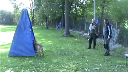 Be Aware Dope IPO1 Protectionwork