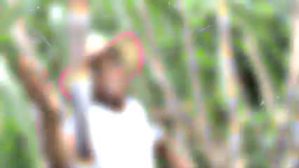 PROGRESSION.FEMME MALINE BY SUNSHINE974PROD