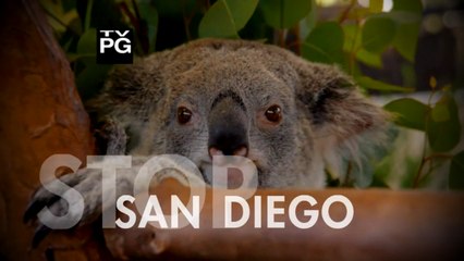✈San Diego ►Vacation Travel Guide