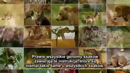 Wszyscy jestesmy jedna rasa - dr.William Pierce