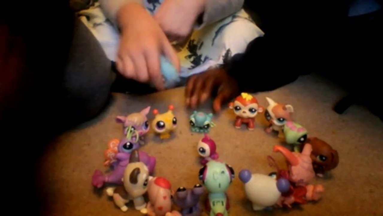 video004